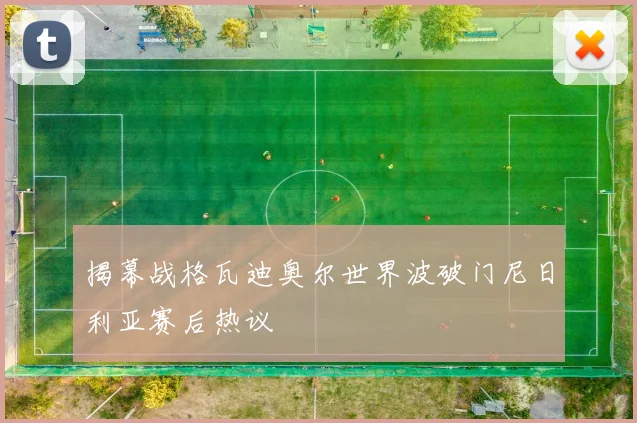 揭幕战格瓦迪奥尔世界波破门尼日利亚赛后热议
