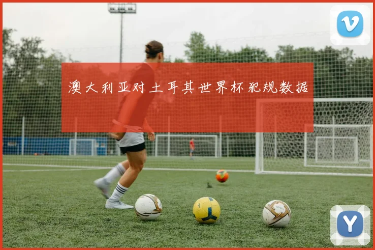 澳大利亚对土耳其世界杯犯规数据