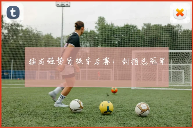 猛龙强势晋级季后赛，剑指总冠军