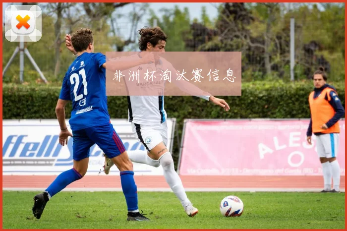 非洲杯淘汰赛信息