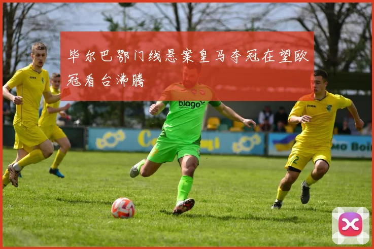 毕尔巴鄂门线悬案皇马夺冠在望欧冠看台沸腾