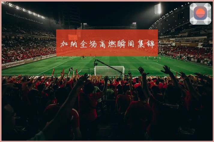 加纳全场高燃瞬间集锦