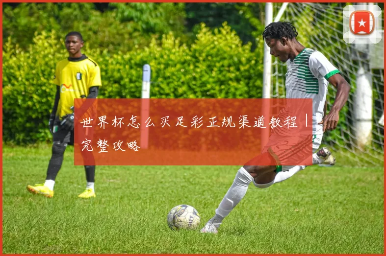 世界杯怎么买足彩正规渠道教程｜完整攻略