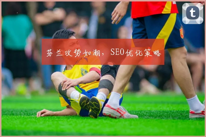 芬兰攻势如潮，SEO优化策略