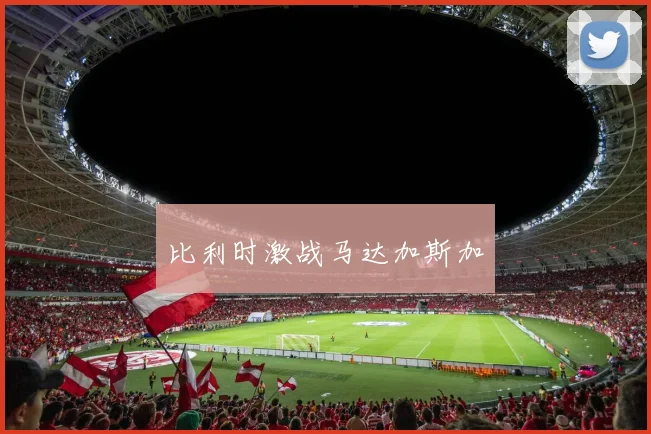 比利时激战马达加斯加