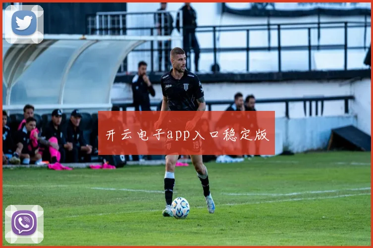 开云电子app入口稳定版