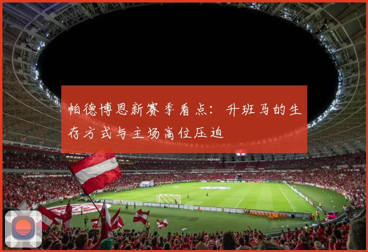 帕德博恩新赛季看点:升班马的生存方式与主场高位压迫