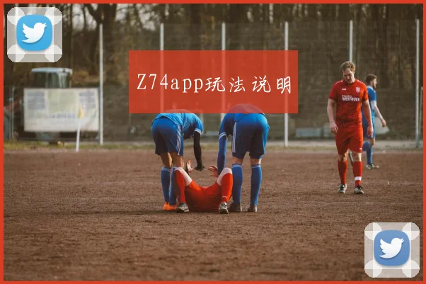 Z74app玩法说明