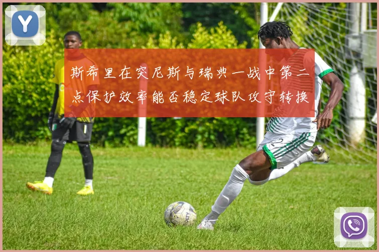 斯希里在突尼斯与瑞典一战中第二点保护效率能否稳定球队攻守转换